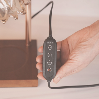 Bloom & Glow Candle Warmer Lamp