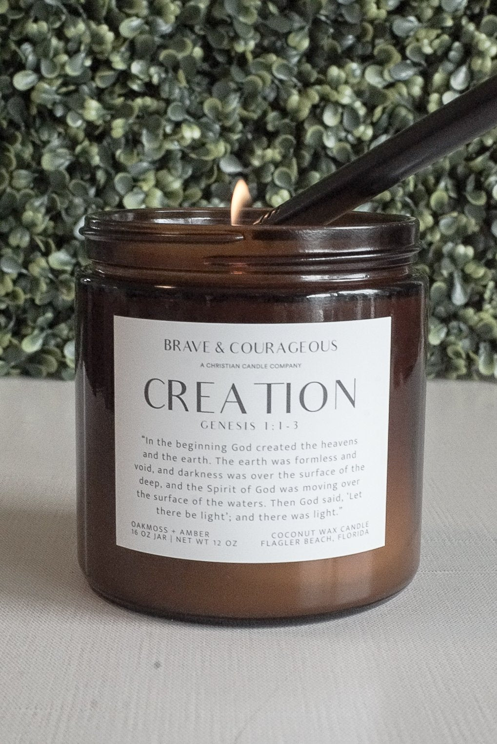 "Creation" Oakmoss + Amber Candle